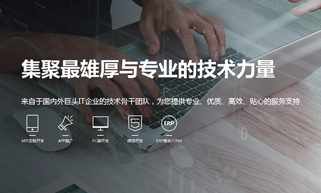 专业app定制开发技术团队