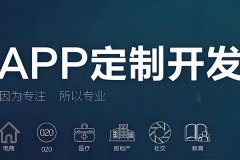 最有实力的APP开发公司是哪家？